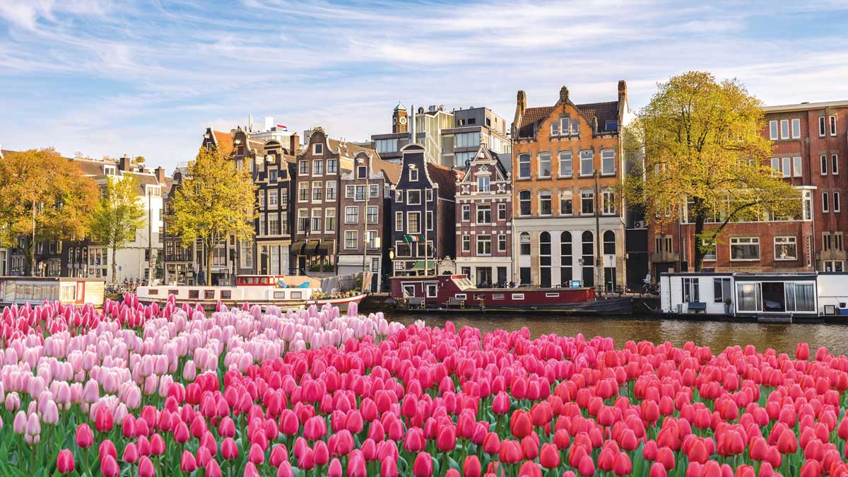 Häuser und Tulpen in Amsterdam