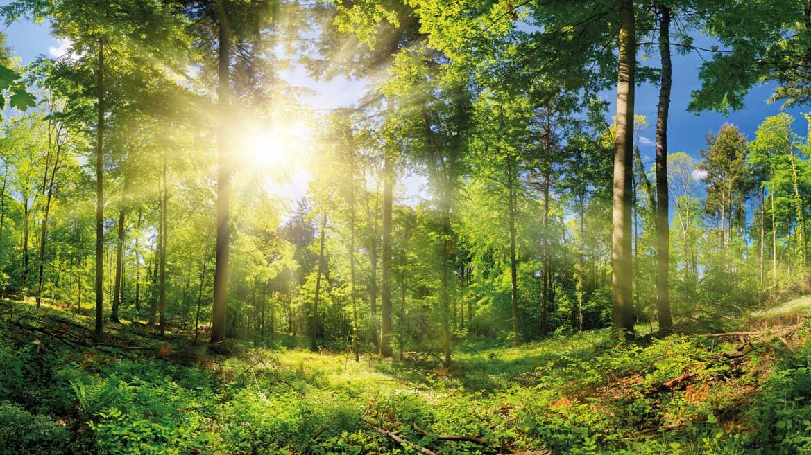 Aktiv Klimaschutz betreiben!