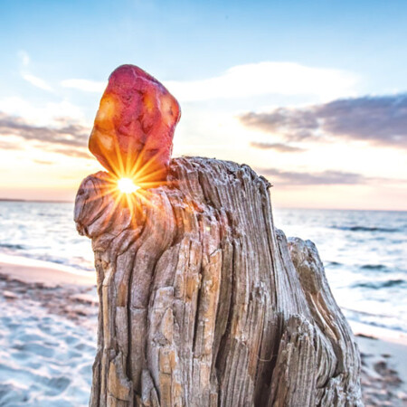 Alle Programmbausteine Usedom auf einen Blick