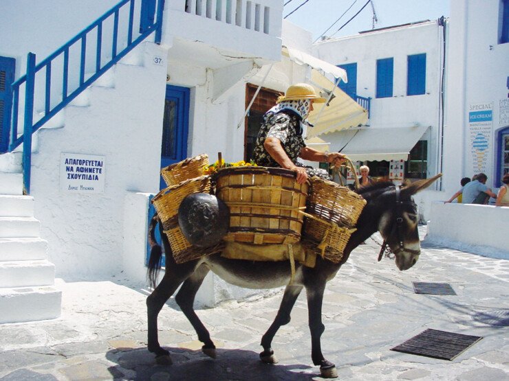 Erlebnis- und Kulturreisen