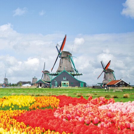 Alle Programmbausteine Niederländische Nordseeküste auf einen Blick