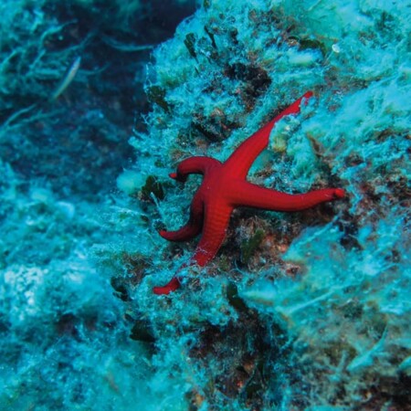 Ostseestation Travemünde