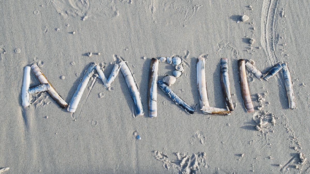 Amrum Schriftzug aus Strandgut gebastelt am Strand