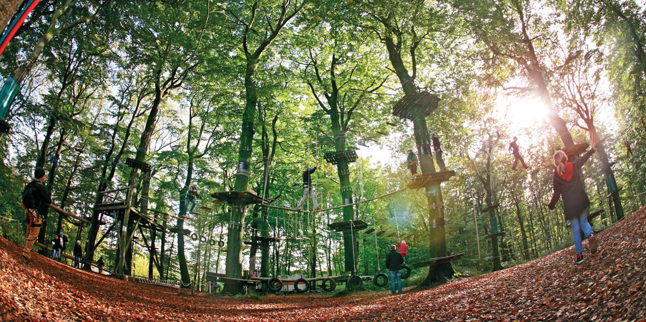 Barrierefreiheitserklärung Kinder im Kletterpark