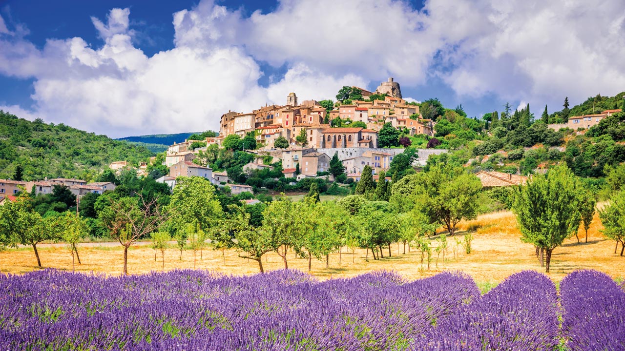 Informationsreise Südfrankreich Lavendelfeld mit Burg im Hintergrund