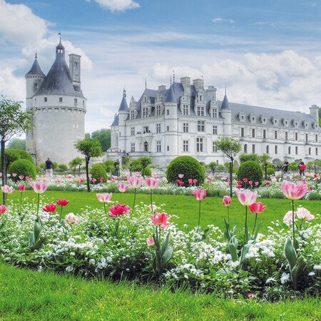 Weitere Programmbausteineauf Anfrage