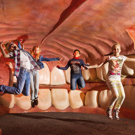 Corpus Experience in Oegstgeest