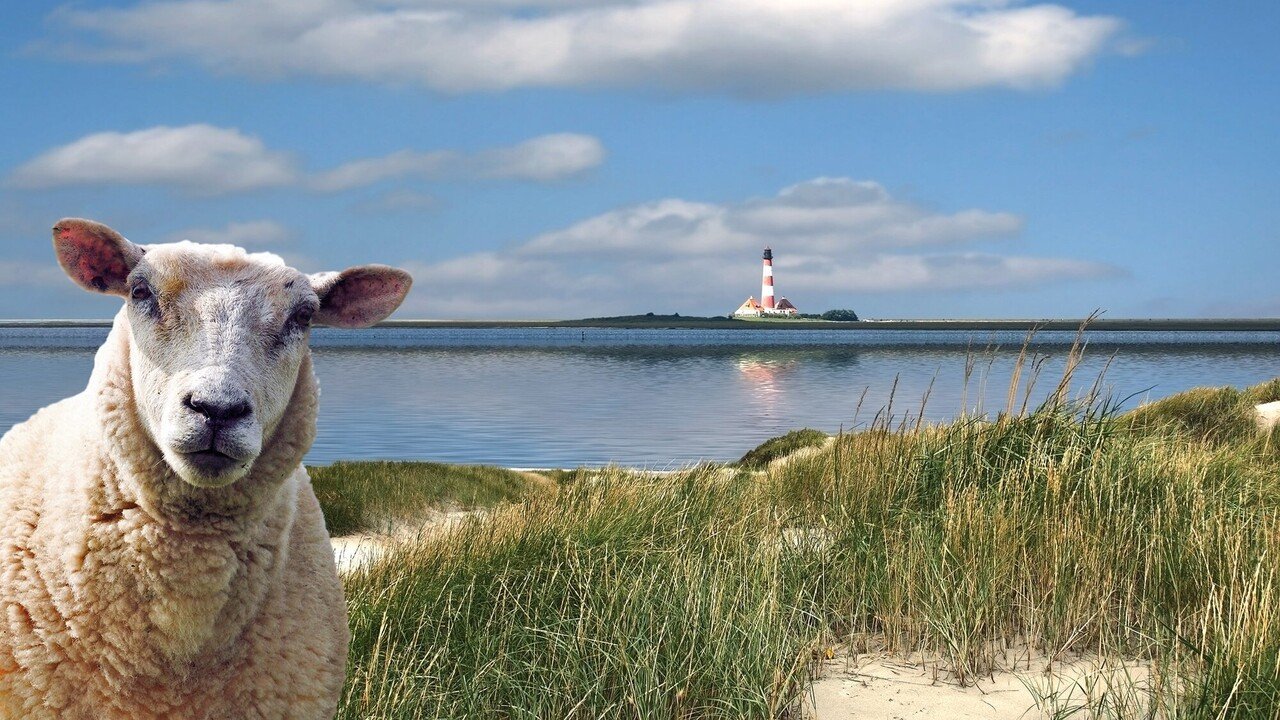 Klassenfahrten an die Nordsee Klassenfahrten an die Nordsee