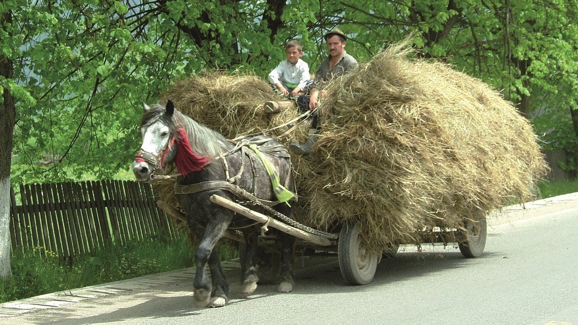 Panjewagen Rumänien