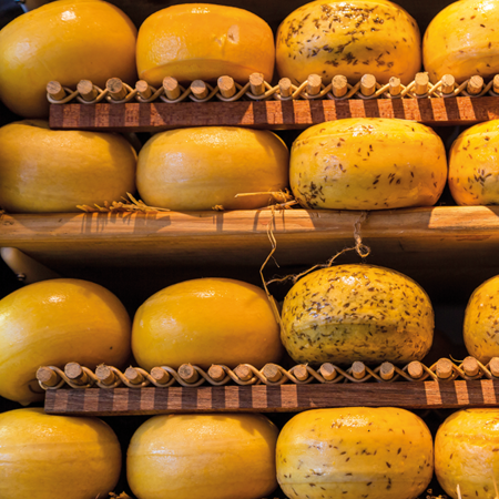 Stadtführung Alkmaar