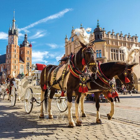 Alle Programmbausteine Krakau auf einen blick