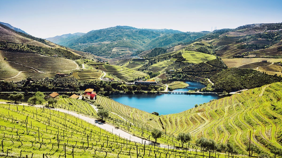 Weinberge im Dourotal