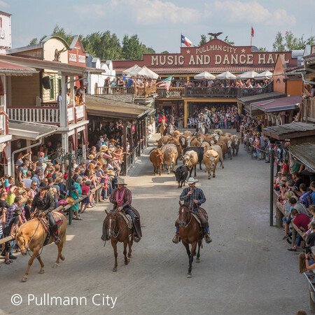 Pullman City Harz